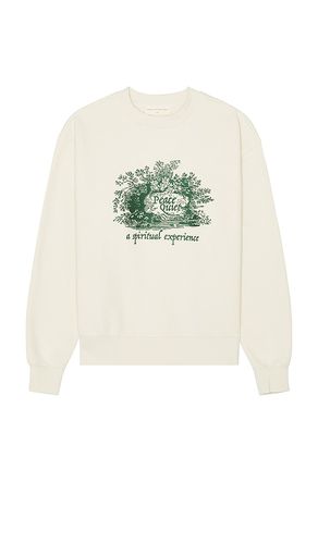 Spiritual Experience Crewneck Sweatshirt in . Size M, S, XL/1X, XS - Museum of Peace and Quiet - Modalova