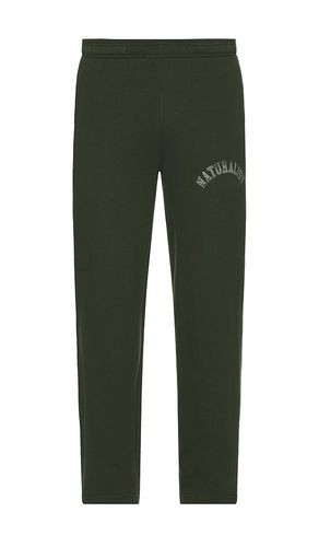 Naturalist Sweatpants in . Size M, S, XL/1X, XS - Museum of Peace and Quiet - Modalova