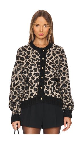 Tessa Jacquard Cardigan in . Size XL/1X - Nation LTD - Modalova