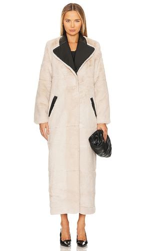 Laurence Faux Fur Coat in . Size M, XL - NBD - Modalova