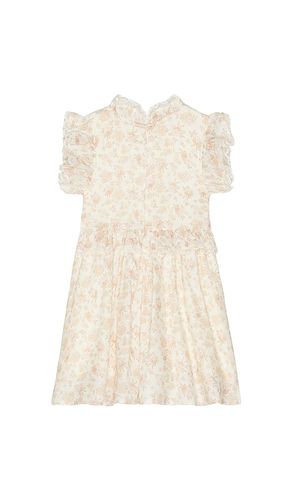 Alice Dress in . Size 2. Also in 6 - Noralee - Modalova