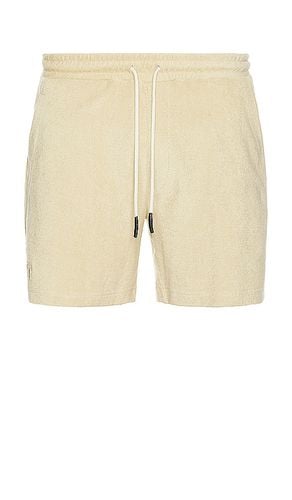 Terry Shorts in . Taglia XL/1X - OAS - Modalova