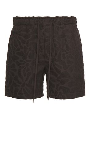 Blossom Terry Short in . Size XL/1X - OAS - Modalova