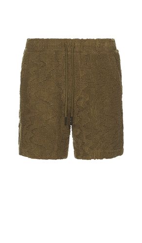 Pine Verve Crochet Shorts in . Size L. Also in S, XL/1X - OAS - Modalova