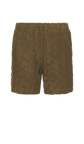 Pine Verve Crochet Shorts in . Taglia M, S, XL/1X - OAS - Modalova