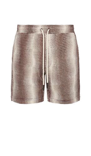 Merlot echo net shorts en color burgundy talla L en - Burgundy. Talla L (también en M, S) - OAS - Modalova