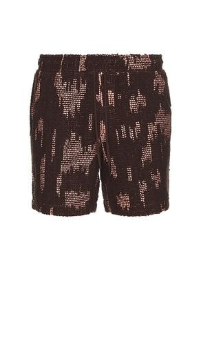 Brink Cuba Crochet Shorts in . Size M, S, XL/1X - OAS - Modalova