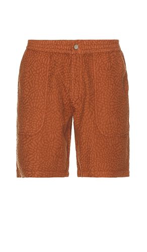 Terracotta turleo nico shorts en color óxido talla L en - Rust. Talla L (también en XL/1X) - OAS - Modalova