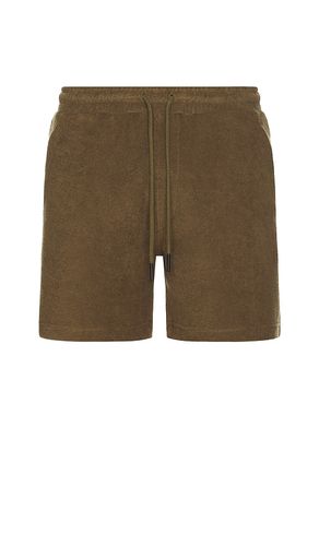 Pine Terry Shorts in . Size M, S, XL/1X - OAS - Modalova
