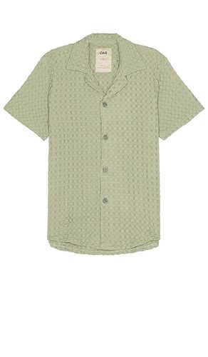 Camisa en color talla L en - Green. Talla L (también en M, S, XL/1X) - OAS - Modalova