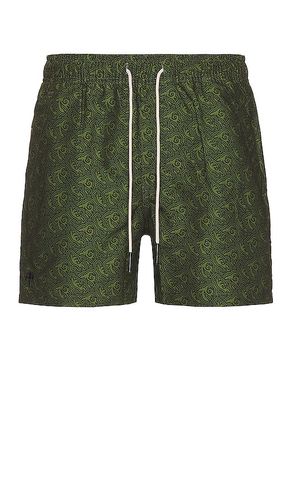Squiggle Swim Shorts in . Size S, XL - OAS - Modalova