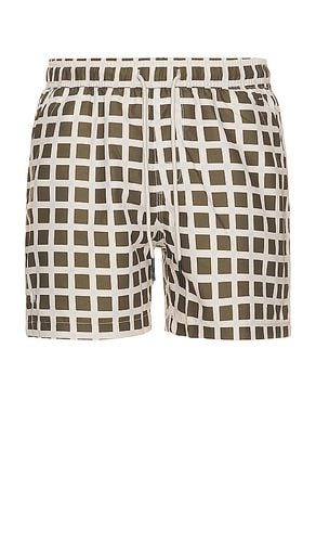 Prima Box Swim Short in . Size XL/1X - OAS - Modalova