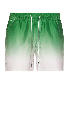 Beach Grade Swim Shorts in . Taglia M, XL/1X - OAS - Modalova