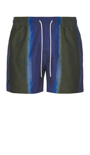 Murky Mist Swim Shorts in . Taglia M, S - OAS - Modalova