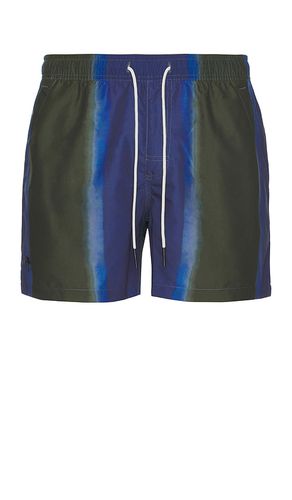 Murky Mist Swim Shorts in . Taglia S - OAS - Modalova