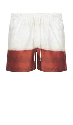 Vista Swim Shorts in . Size M, XL/1X - OAS - Modalova