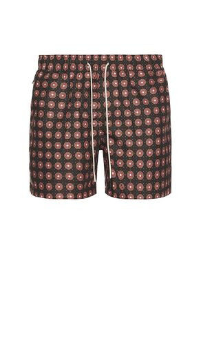 Coffee Lumo Swim Shorts in . Size M, S, XL/1X - OAS - Modalova