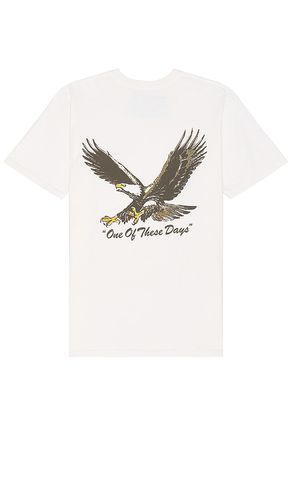Screaming Eagle Tee in . Size M, XL/1X - ONE OF THESE DAYS - Modalova