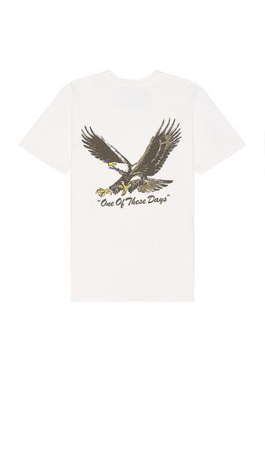 Screaming Eagle Tee in . Size XL/1X - ONE OF THESE DAYS - Modalova