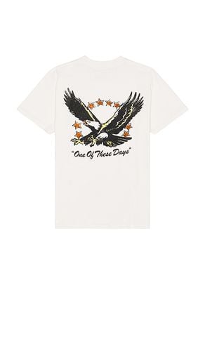 Screaming Eagle T-Shirt in . Taglia M, S, XL/1X - ONE OF THESE DAYS - Modalova