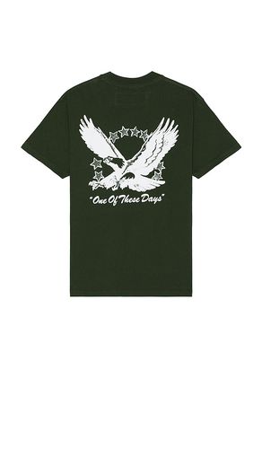 Camiseta screaming eagle en color verde talla L en - Green. Talla L (también en M, S, XL/1X) - ONE OF THESE DAYS - Modalova