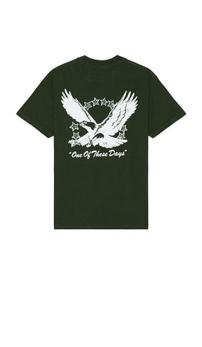 Screaming Eagle T-Shirt in . Taglia M, S, XL/1X - ONE OF THESE DAYS - Modalova