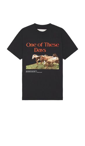 Camiseta wild horses en color negro talla L en - Black. Talla L (también en M, S, XL/1X) - ONE OF THESE DAYS - Modalova