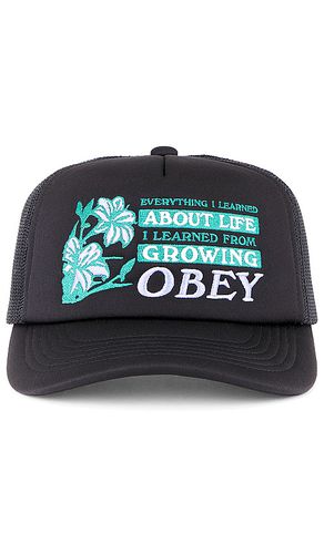 Obey Life Trucker Hat in Black - Obey - Modalova