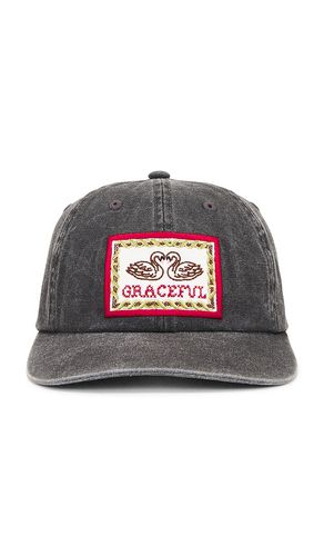 Graceful 6 Panel Pigment Strapback Hat in - Obey - Modalova