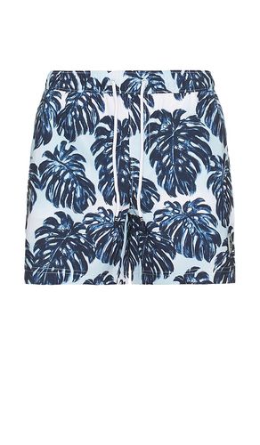 All Over Print Monstera Swim Trunk in . Size L. Also in S, XL/1X - Original Penguin - Modalova