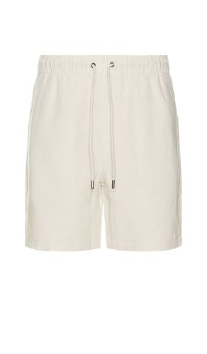 Air Linen Pull On Short 6 Shorts in . Size S, XL/1X - onia - Modalova