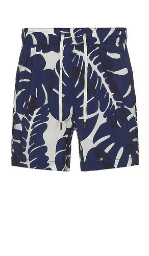 Onia SHORTS in Blue. Size XL/1X - onia - Modalova