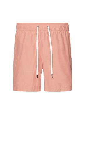 BADESHORTS in . Size S, XL/1X - onia - Modalova