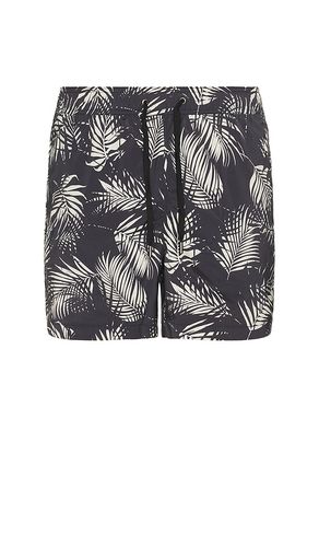 Charles 5 Swim Trunk in . Size L. Also in M, XL/1X - onia - Modalova