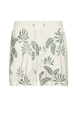 Charles 5 Swim Trunk in . Size S, XL/1X - onia - Modalova