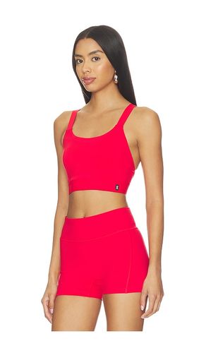 Performance Bra in . Size S. Also in M, L, XL - On - Modalova
