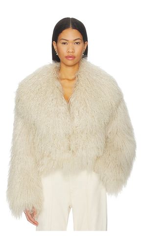 X REVOLVE Thea Jacket in . Size S. Also in L, XL - OW Collection - Modalova