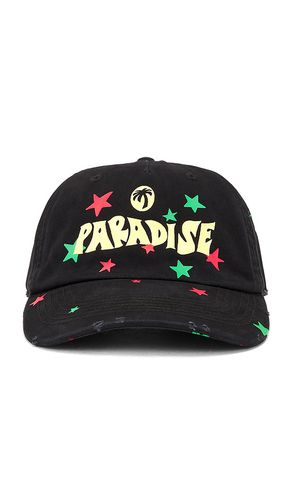 Paradise Palm Cap in - Palm Angels - Modalova