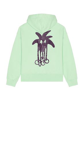 Douby Classic Hoodie in . Taglia M, S, XL/1X - Palm Angels - Modalova