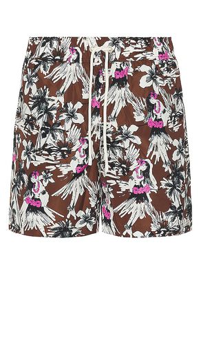 Hula Swimshorts in . Taglia S - Palm Angels - Modalova