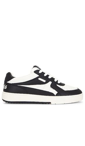 Palm University Sneaker in . Size 41 - Palm Angels - Modalova