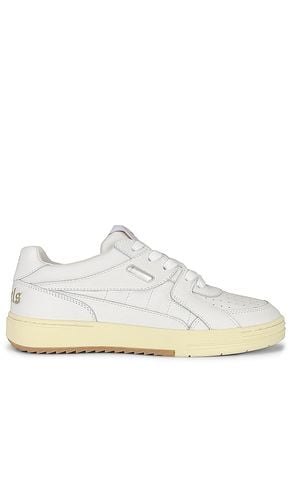 Palm University Sneaker in . Size 42 - Palm Angels - Modalova