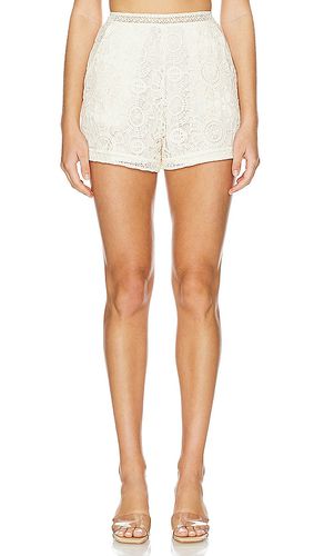 High Waist Shorts in . Size 0, 2, 4, 6, 8 - PatBO - Modalova