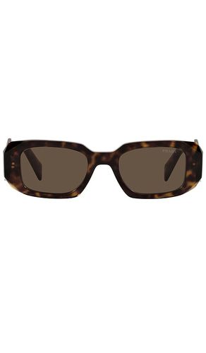 Scultoreo narrow sunglasses in color brown size all in - Brown. Size all - Prada - Modalova
