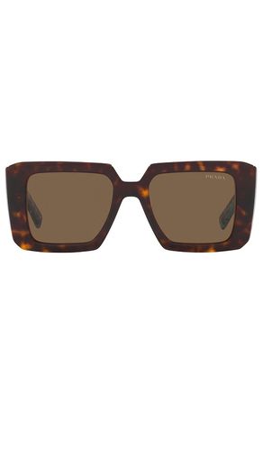 Square sunglasses in color brown size all in - Brown. Size all - Prada - Modalova