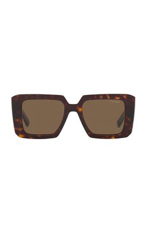 Prada SONNENBRILLE in Chocolate - Prada - Modalova