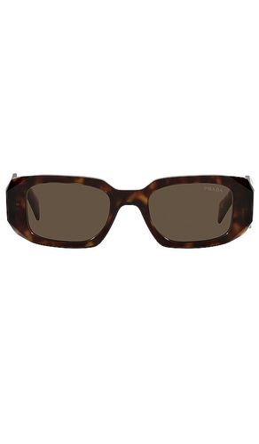 Gafas de sol sculto reo en color marrón talla all en - Brown. Talla all - Prada - Modalova