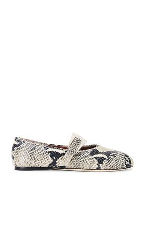 Sveva Buckle Ballet Flat in . Size 39.5, 40 - Paris Texas - Modalova