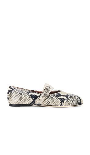 Sveva Buckle Ballet Flat in . Size 39.5 - Paris Texas - Modalova