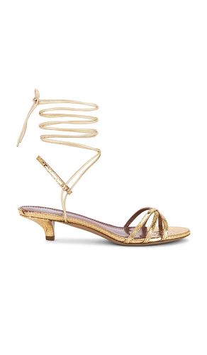 Linda Lace Up 35 Sandal Sandal in . Taglia 38 - Paris Texas - Modalova